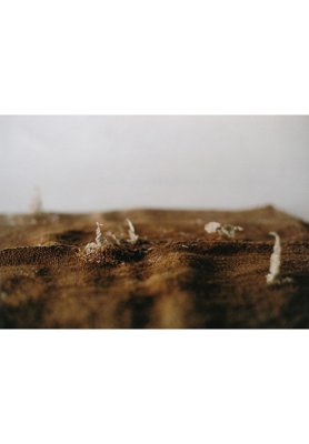 Kaoru Yokoo “Appearance of Light” 2019 Old linden cloth, Gold yarn 600×600 Old linden cloth made from linden fiber. It was once used lid of the steamer, after used many times and there are some holes and thinner of fibers on linden cloth. Kaoru Yokoo repaired this cloth like steamy by knitting with gold yarn. When touching a cloth with a trace of memory, Yokoo’s sensitivity is inspired and expression is born.