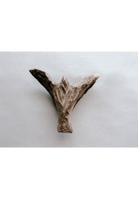 Hiroki Tashiro “Angelus #1” 2019 Camphor tree 210×190×60 One day, Yukinori Maeda appears in the atelier of Hiroki Tashiro, and picks up the work rolled on the floor. Angelus series which began with what Maeda muttered as “Looks like an angel”. The origin of the word “Angel” is Greek, Angelus for “Messenger”. When Tashiro feels to making work, a sense of touching an image floating in the universe somewhere, between the presence of trees and the swaying image, superimposed on the angel, to express a form that resonates with the heart.